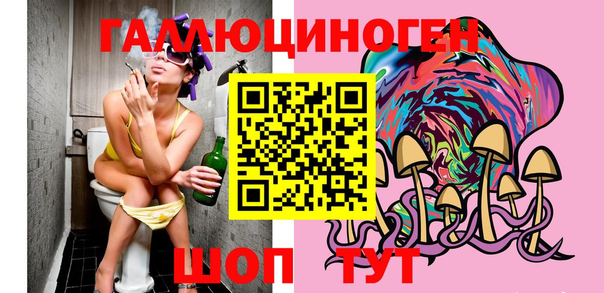Галлюциногенные грибы Psilocybine cubensis Вятские Поляны