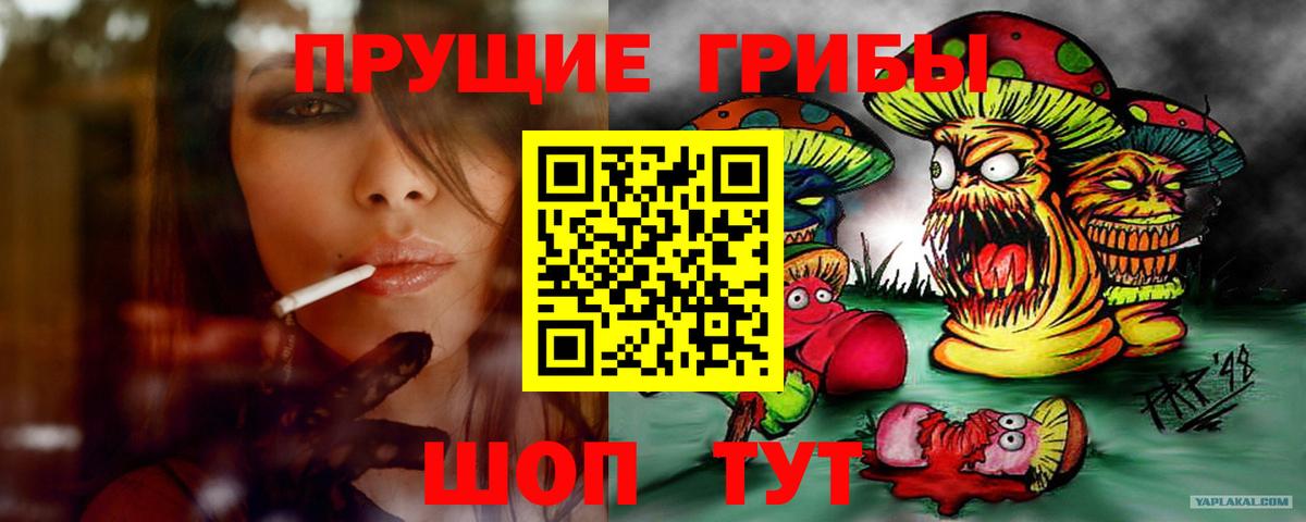Вятские Поляны  Псилоцибиновые грибы Cubensis  Вход с VPN 